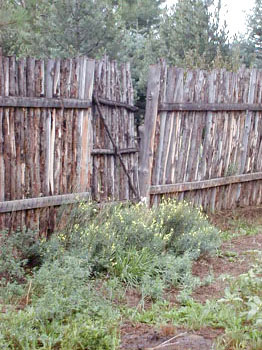 gate