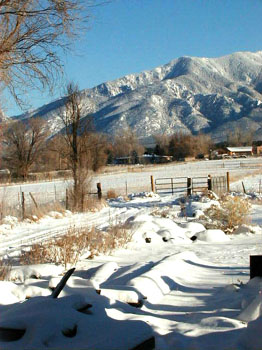 coldmtn2