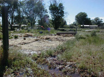 ditch02
