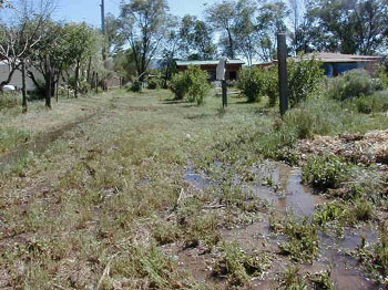 ditch03