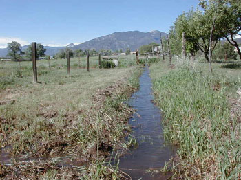 ditch04