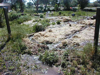 ditch05