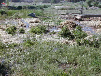ditch06