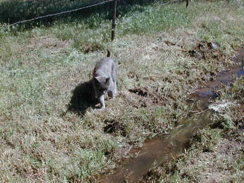 ditch07
