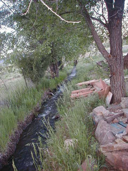 ditch11