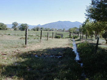 ditch14
