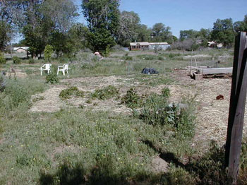 ditch15