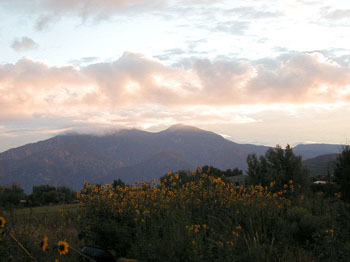 dawn2823