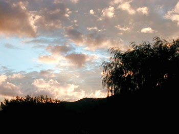 dawn3823