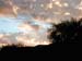 dawn3823