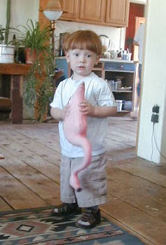 flamingoboy