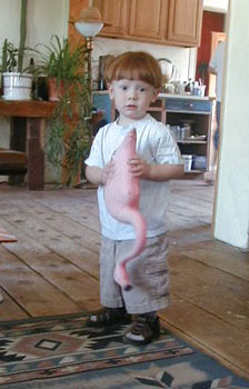 flamingoboy1