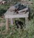newgardentable