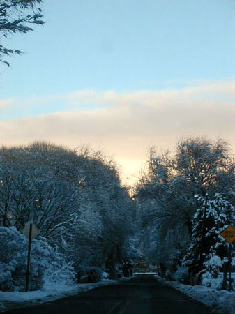 dolanstreet