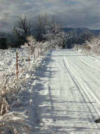 tracks