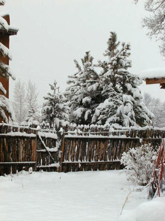 wintergate