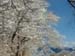 afterthestorm