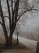 foggymorn
