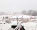 snowflamingo