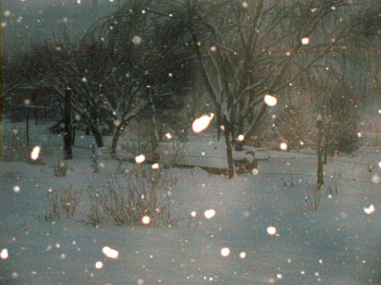 morningsnow2