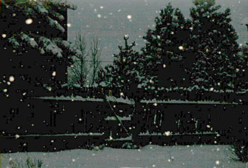morningsnow3