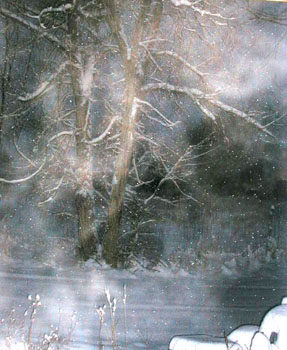 morningsnow5