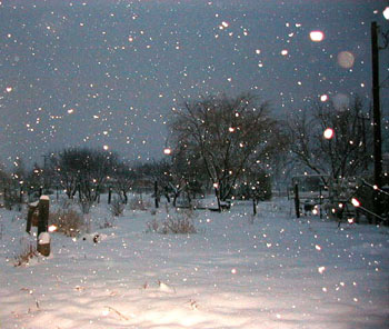 morningsnow6