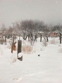 stfrancis