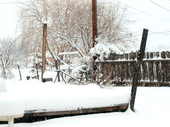 ternoonsnow