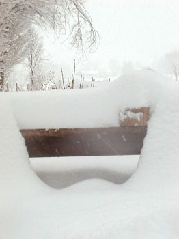 ternoonsnow3