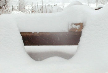 ternoonsnow4