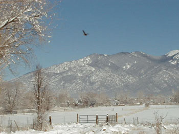 winterflightsnow1