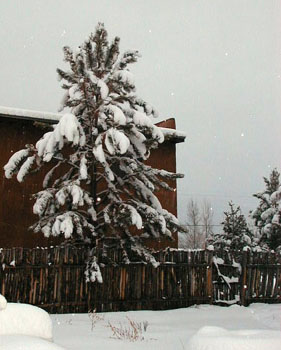 wintersnowgate