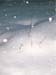 morningsnow1