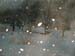 morningsnow2
