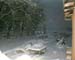 morningsnow4