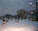 morningsnow6