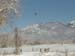 winterflightsnow1