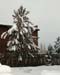 wintersnowgate