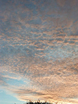 clouds822