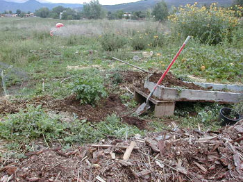 compostpotato