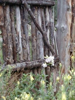 gatewayflower 2