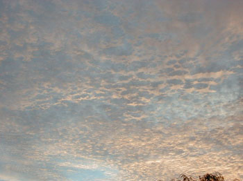 sunrise822