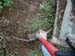 compostfoot