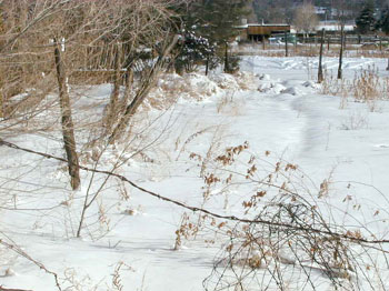 jansnowfence