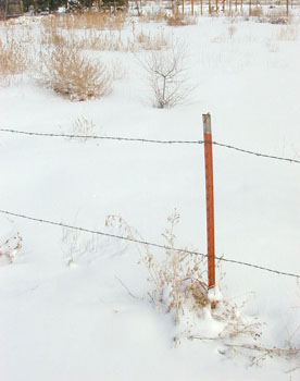 jansnowpost