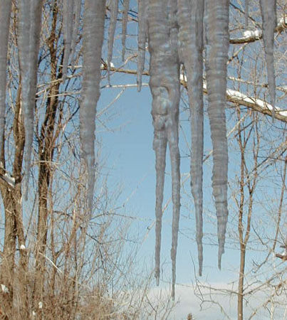 icecicles
