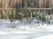 fenceline