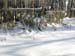 snowgreen