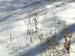 snowshadows